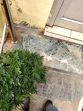 Snapshot of Ishan003 chatting on March 2026 03:12:01 AM Ishan003 online show from March 2026 03:12:01 AM