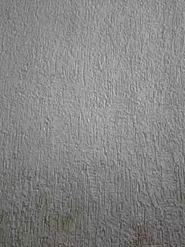 Priya Strip online show from May 2026 11:47:02 AM