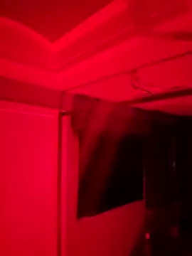 Cobra500hp online show from March 2026 02:41:02 AM