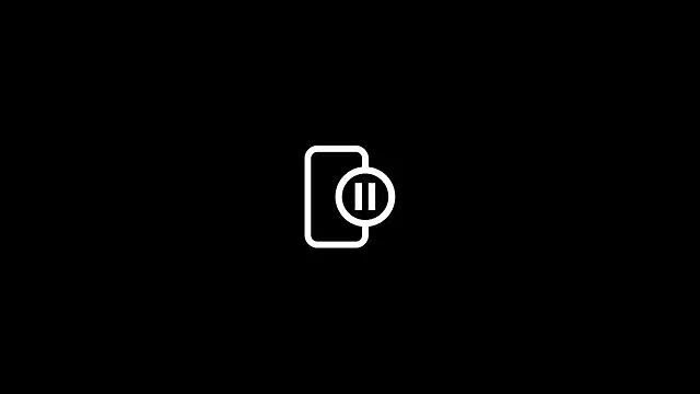 Cobra500hp online show from September 2025 08:43:01 AM
