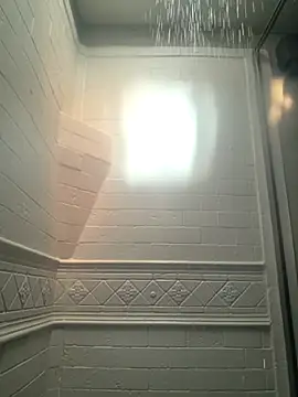 Cobra500hp online show from March 2026 07:15:02 PM