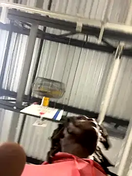 sneakylink13   online show from October 2025 01:18:01 AM