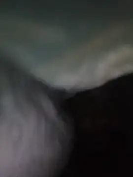 suckdick 0 online show from July 2026 08:44:02 PM