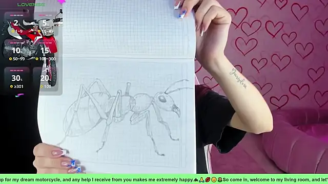 danny s22 online show from March 2026 01:28:02 PM