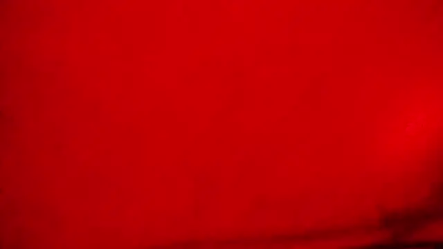 Nathaly love96 online show from February 2026 05:13:01 PM