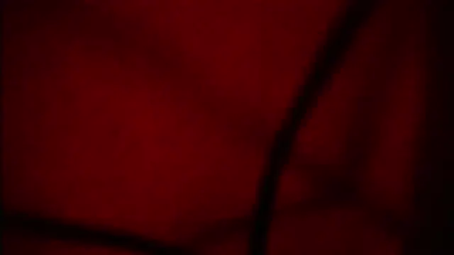Nathaly love96 online show from September 2025 06:07:02 PM