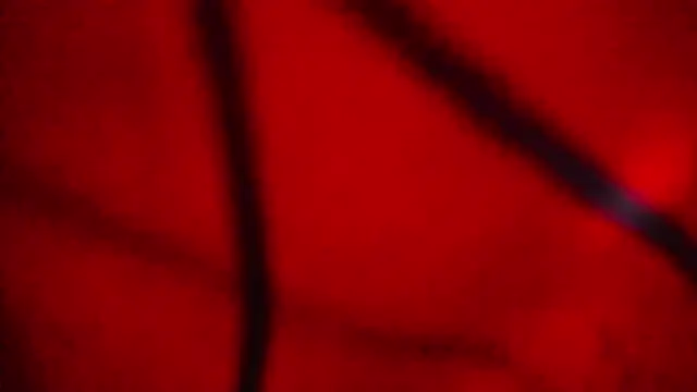 Nathaly love96 online show from February 2026 07:38:01 PM