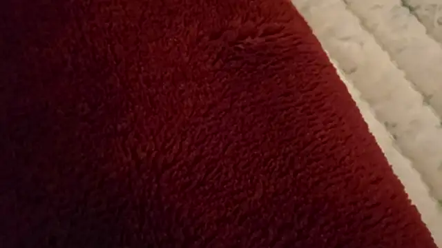 ChillzPnp online show from February 2026 03:13:02 AM