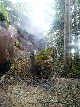 AssamSilchar93 online show from February 2026 09:18:02 AM