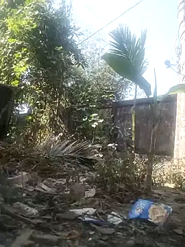 AssamSilchar93 online show from February 2026 06:55:01 AM