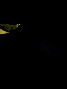 Snapshot of bigdickbandot chatting on November 2025 11:02:02 AM bigdickbandot online show from November 2025 11:02:02 AM