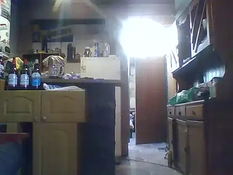 ar Lily online show from December 2024 06:17:02 PM