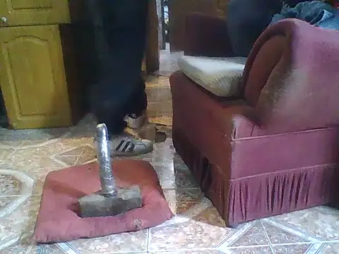 ar Lily online show from December 2024 10:30:01 AM