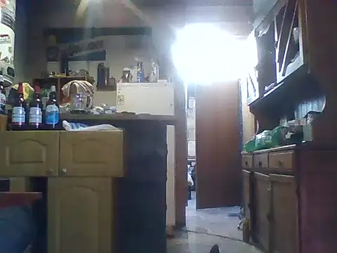 ar Lily online show from December 2024 01:36:02 PM