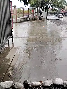 BeetledFlouter12 online show from September 2025 07:10:02 PM