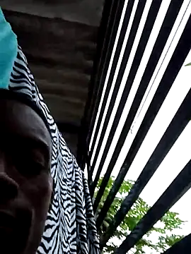 BeetledFlouter12 online show from December 2025 09:42:02 PM