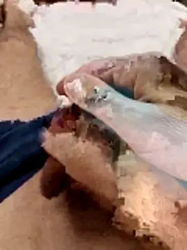 Sperma-V-rotik online show from December 2025 06:19:01 PM