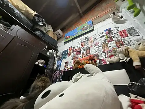 dafne19  online show from February 2026 04:12:01 AM