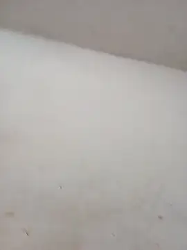 Snapshot of ambarlennoix chatting on October 2025 05:56:02 AM ambarlennoix online show from October 2025 05:56:02 AM