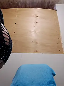 Zaralu  online show from December 2025 01:21:02 PM