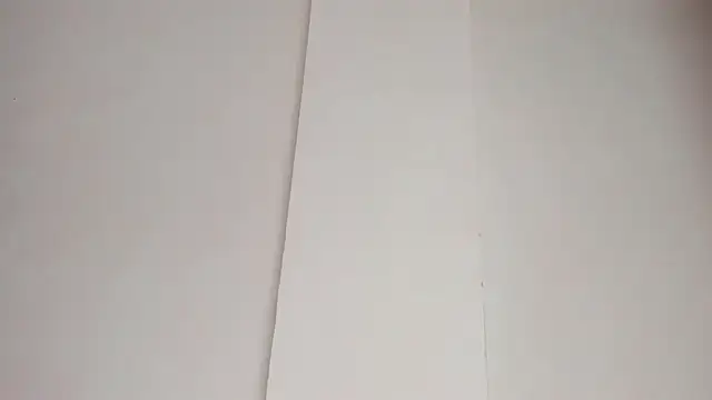 LiaFlowers online show from February 2025 07:22:01 AM