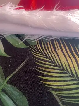 alexatransgata online show from December 2025 03:55:01 PM