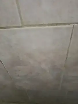 AlkalineCalmness online show from April 2026 06:32:02 AM