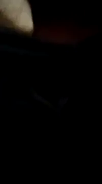 Snapshot of richnd333 chatting on December 2024 05:07:01 AM richnd333 online show from December 2024 05:07:01 AM