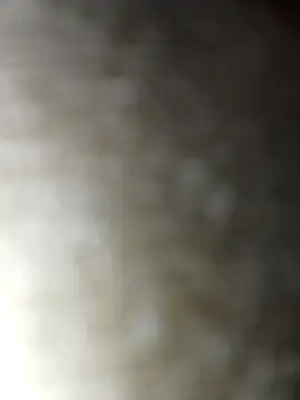 Snapshot of Sexybeer2005 chatting on December 2025 07:20:02 AM Sexybeer2005 online show from December 2025 07:20:02 AM