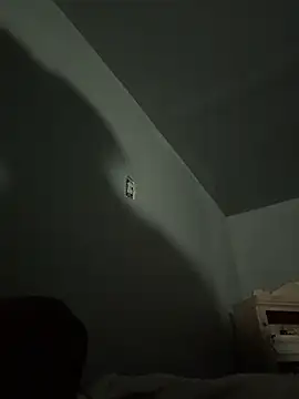 Snapshot of SluttyLyfe4L chatting on April 2026 12:17:01 PM SluttyLyfe4L online show from April 2026 12:17:01 PM