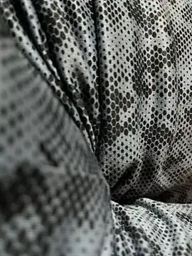 scientific4sex online show from November 2025 04:57:01 PM