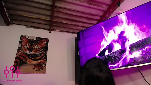 xxx  exotic online show from February 2025 05:08:01 AM