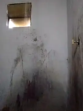 Percybr4561 online show from November 2025 01:16:01 PM