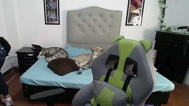 Nalaa Sc online show from March 2025 04:26:02 AM