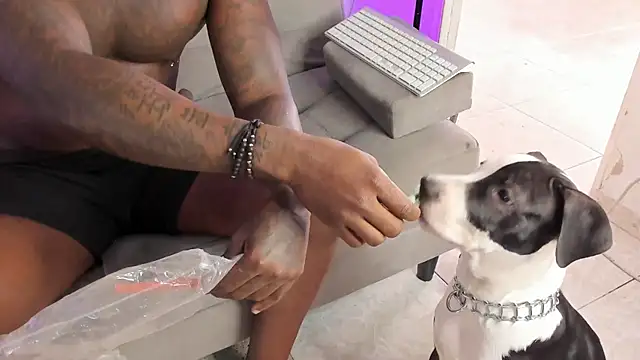 Snapshot of Dvid_Rullers chatting on September 2025 12:50:01 PM Dvid Rullers online show from September 2025 12:50:01 PM