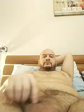 Snapshot of user_662 chatting on February 2026 11:31:02 AM user 662 online show from February 2026 11:31:02 AM