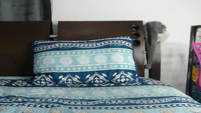 Tobicutee online show from February 2026 04:19:02 AM