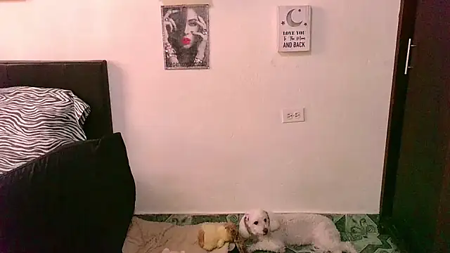 zaray bella online show from September 2025 08:37:01 PM