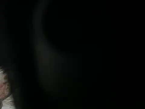 JOJO xxx 123 online show from April 2026 02:24:01 AM