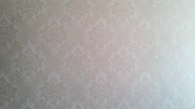 Kashtanka  online show from October 2025 08:08:01 AM