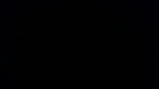 Kashtanka  online show from November 2025 12:59:01 PM