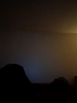 armdy371 online show from March 2026 12:42:02 PM