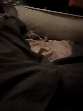 armdy371 online show from November 2025 10:14:02 PM