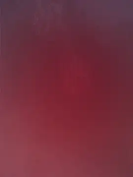 maria4465 online show from February 2026 02:30:02 PM