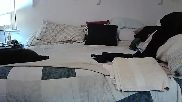 Hand69someguy online show from November 2025 02:49:01 AM