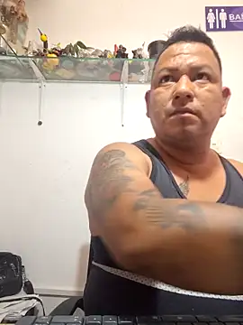 siatodo02 online show from February 2025 03:44:02 PM