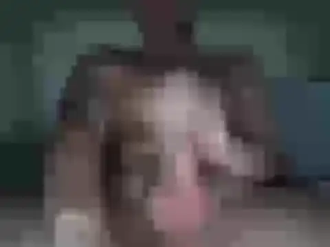 sexyboy96960 online show from February 2026 03:53:01 PM