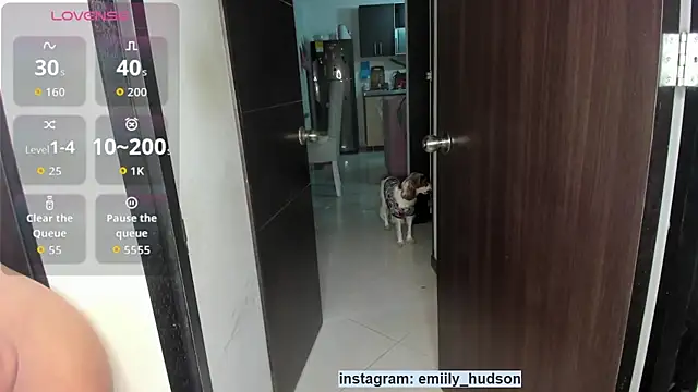 Snapshot of emily_huddson_ chatting on October 2025 01:26:01 AM emily huddson online show from October 2025 01:26:01 AM