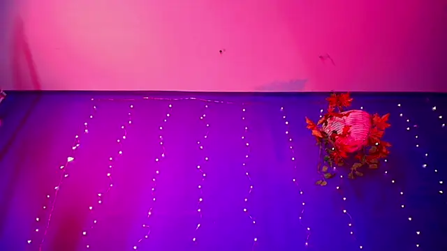 vanelope11 online show from December 2025 08:05:01 AM