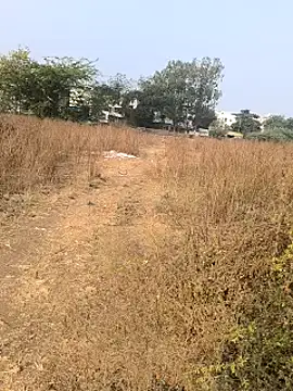 Abinash7732 online show from January 2025 03:53:02 AM